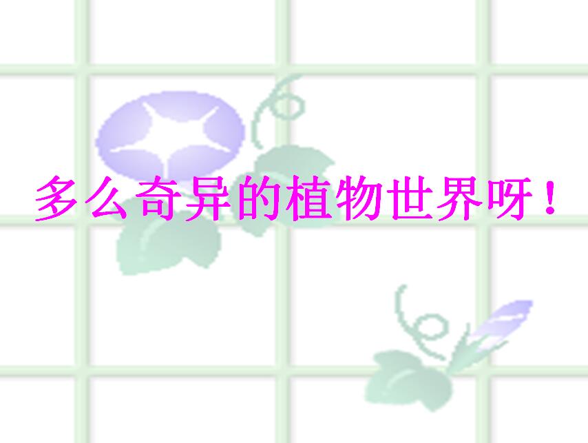 ZS꼉Zn殐ֲ硷