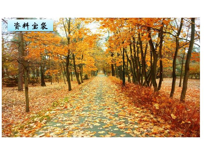 鄂教版四年级上册语文课件《初秋行圃》