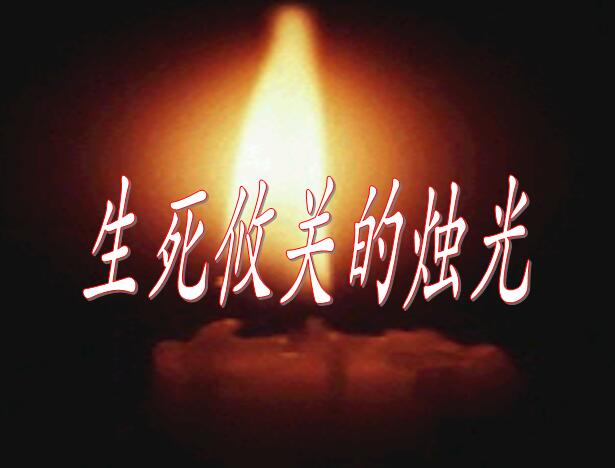 ̰꼉ZnP(gun)ĠT⡷