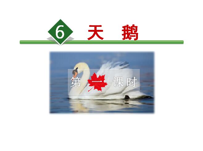 L꼉(j)(c)ZnZһnr(sh)