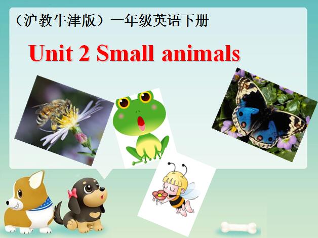 ţϺСѧһ꼶²ӢμUnit 2 small animals