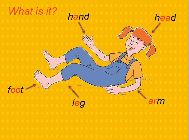 ̰Сѧ꼶ϲӢμLesson15 Left and Right