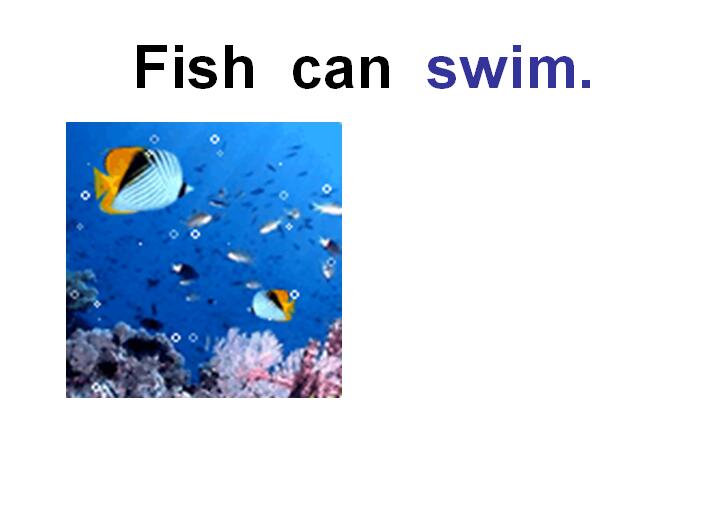 ̰Сѧ꼶²ӢμUnit 1 Lesson 3 Fish and Birds