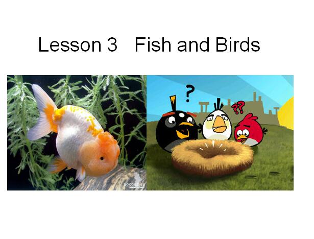 ̰СW(xu)꼉ӢZnLesson 3 Fish and Birds 1