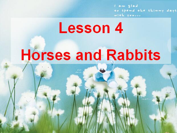 ̰Сѧ꼶²ӢμLesson 4 Horses and Rabbits