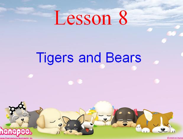 ̰Сѧ꼶²ӢμLesson 8 Tigers and Bears1