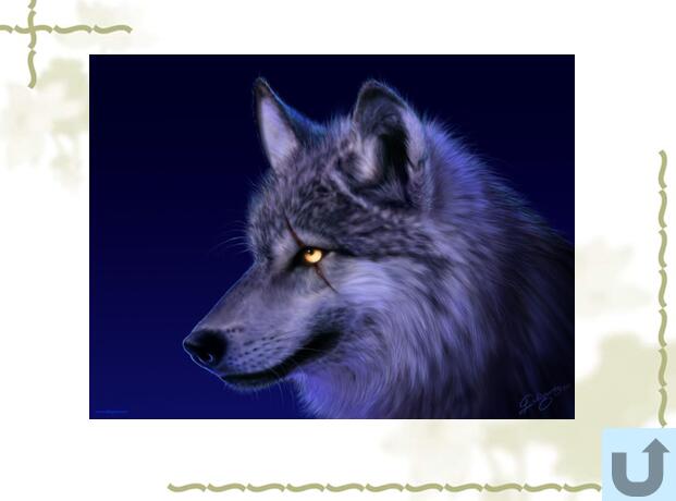 ̰СW꼉ӢZnLesson 12 The Clever Monkey2