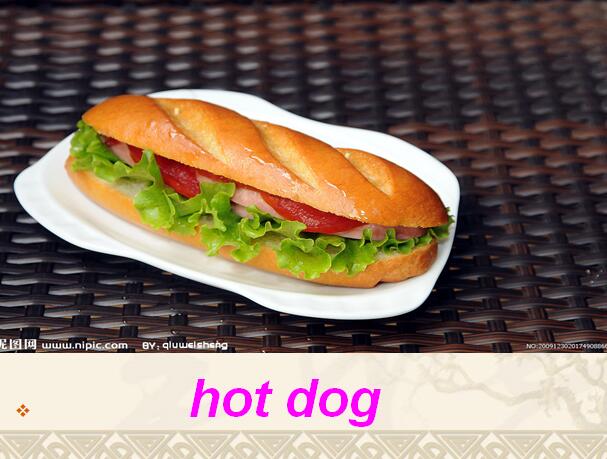 ̰Сѧ꼶²ӢμLesson 20 Hamburgers and Hot Dogs3