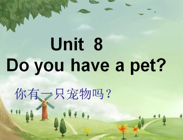 ³Сѧ꼶²ӢμDo you have a pet