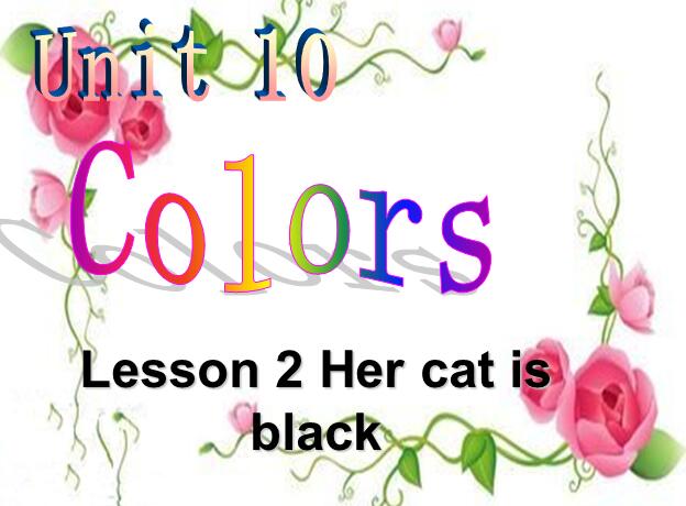 СW꼉ӢZnHer cat is black1