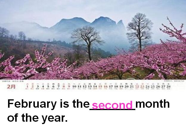 ̰Сѧ꼶²ӢμDays and Months