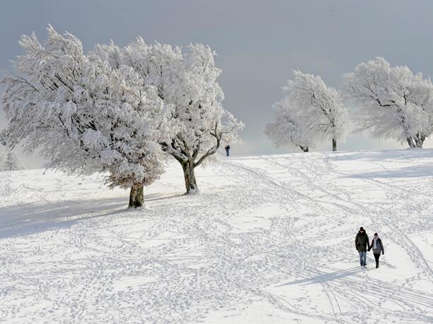 ̰СW꼉σӢZnSnow It's Winter