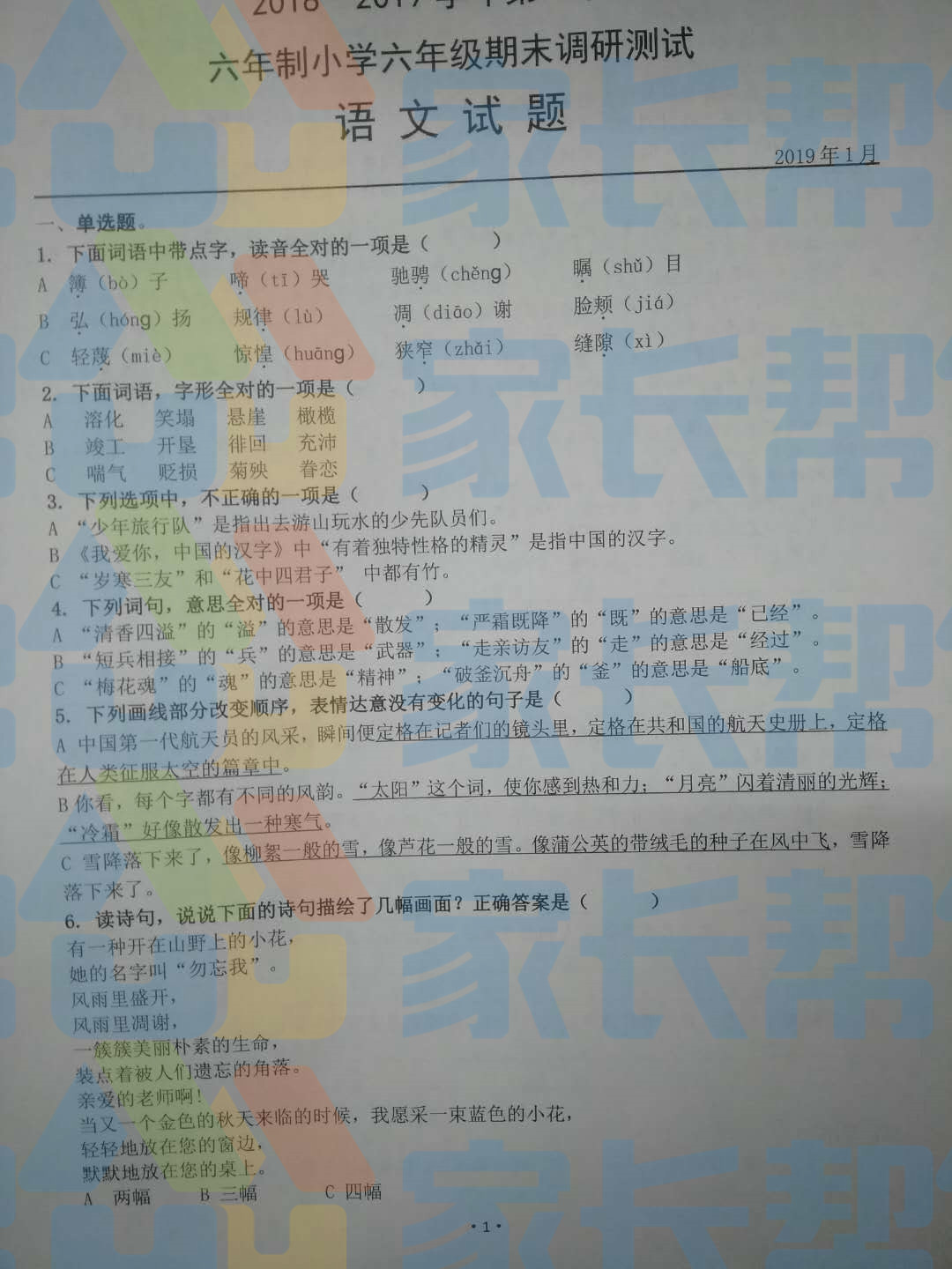 2019年武汉市汉阳区小学六年级语文期末考试