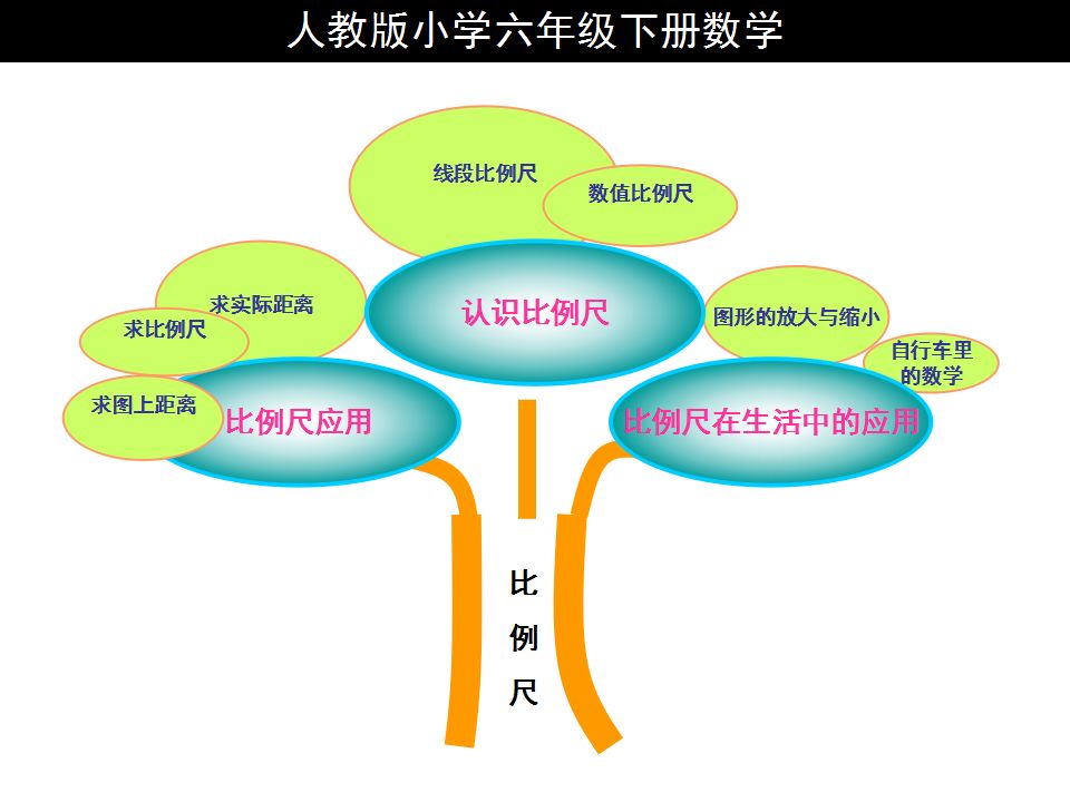 人教版六年级上册数学《比例尺》思维导图