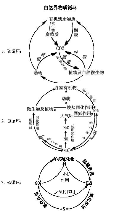 物质循环示意图图片