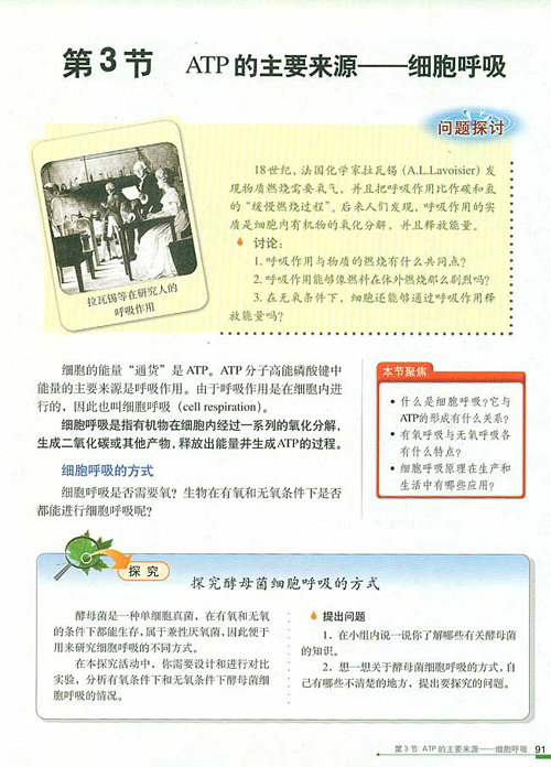 �˽̰��������1������ 5.3 ATP����Ҫ��Դ��ϸ������