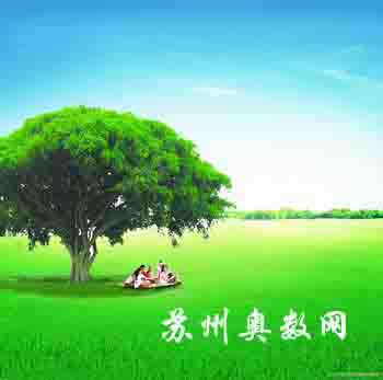 苏州市重点中学汇总