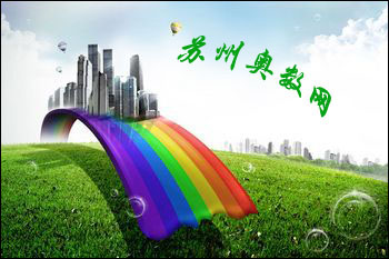 名师指导之小升初规划宝典