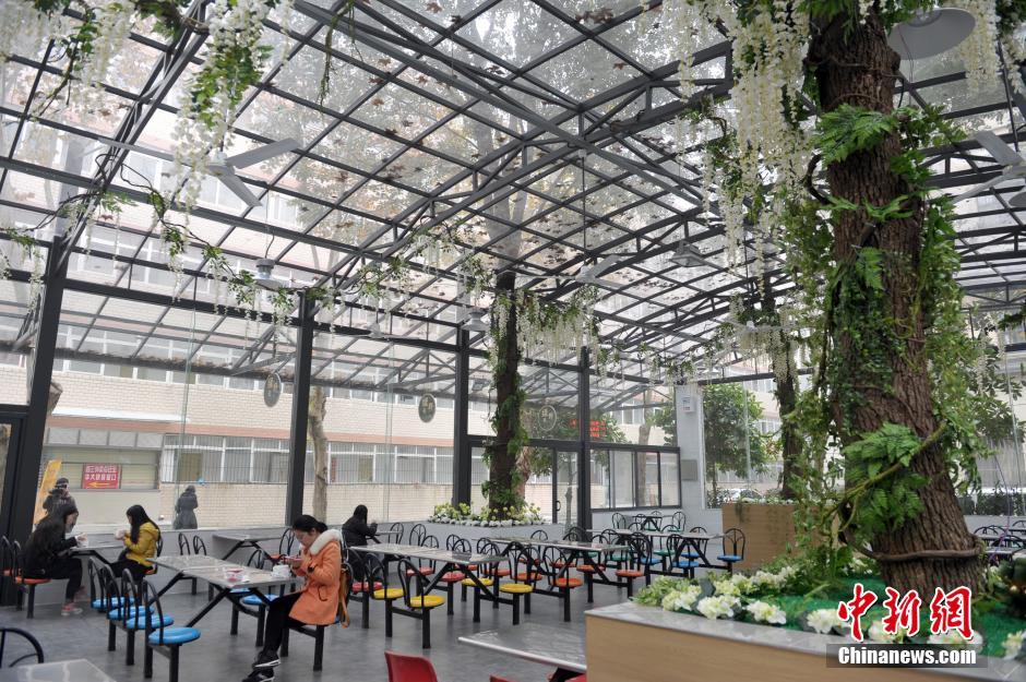 武汉高校现树林食堂 学生可在树下进餐（图）
