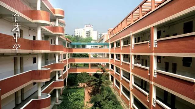 重庆九龙坡区小学排名(2)