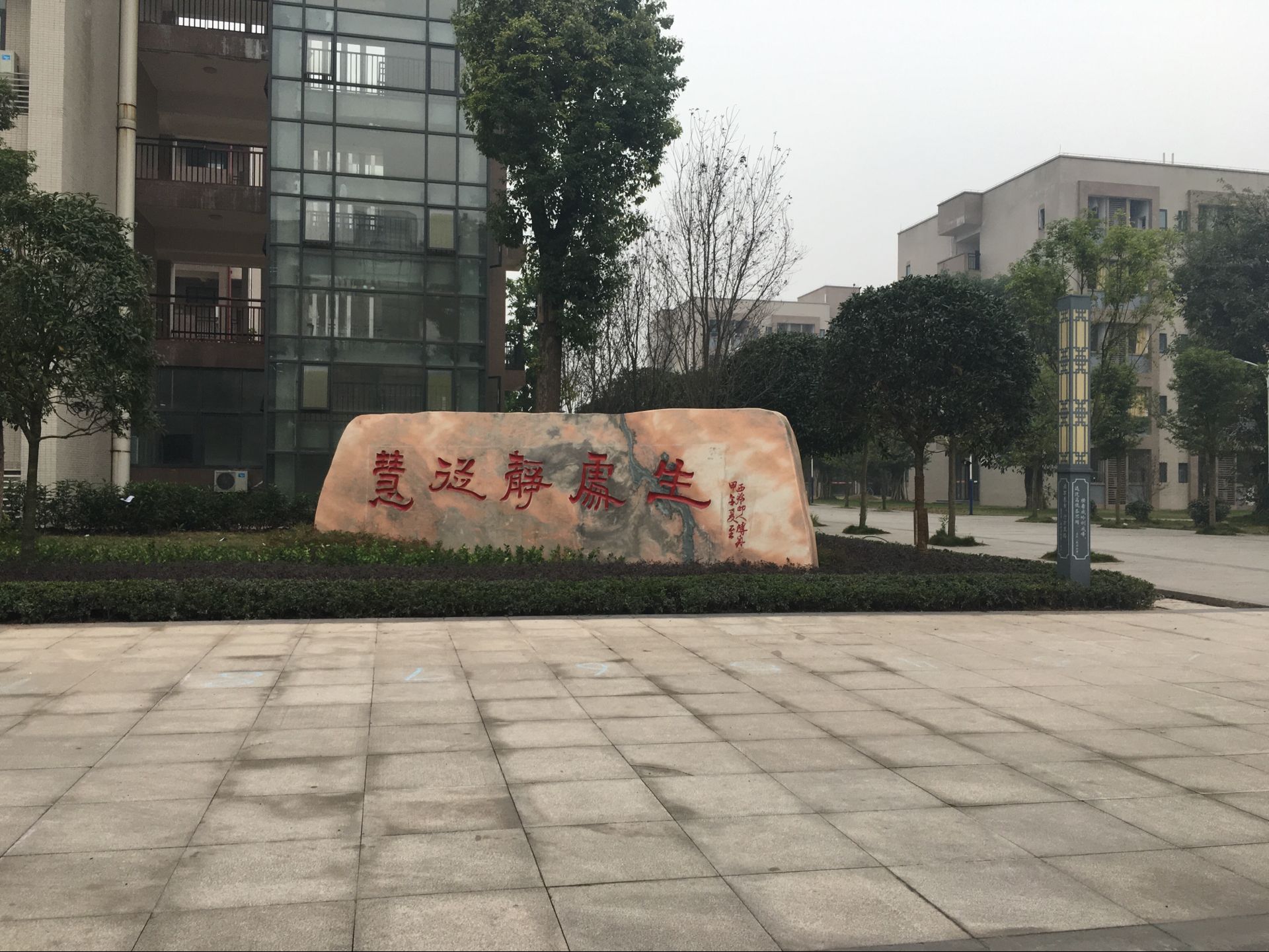 重庆市双福育才中学校图片
