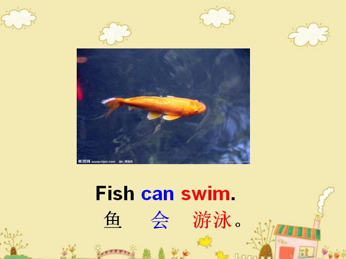 ̰СW(xu)꼉ӢZnLesson 3 Fish and Birds 2