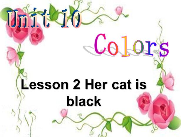 СW(xu)꼉ӢZnHer cat is black2