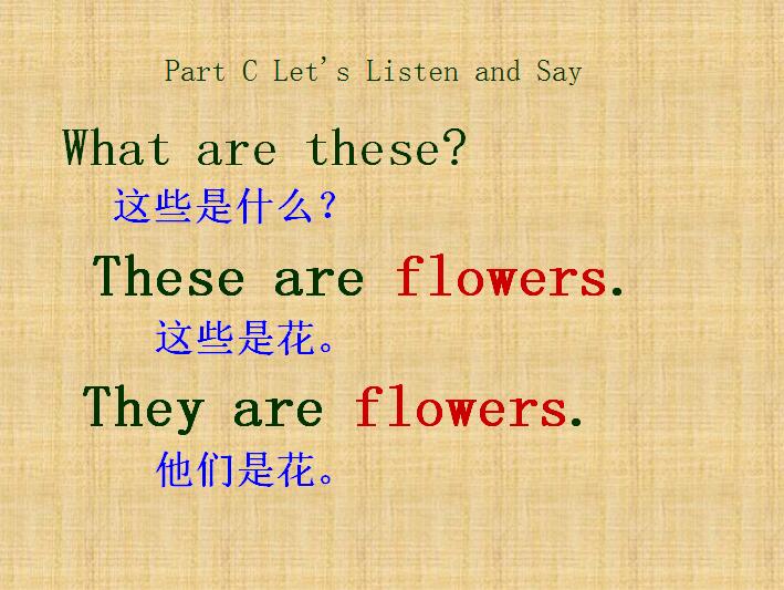 ٰСW(xu)꼉(j)σ(c)ӢZ(y)nThese are flowers