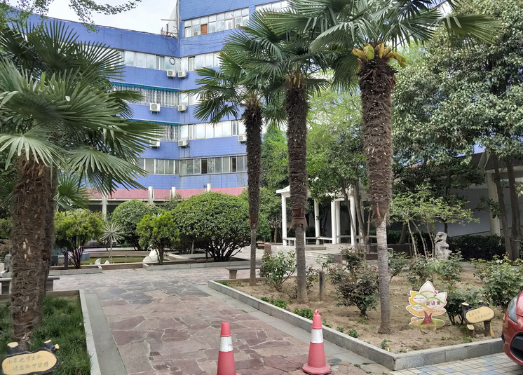 郑州十一中直属初中金水为民中学详细解析