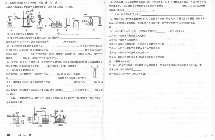 ӱʯf28нF(tun)2019-2020W(xu)оDƬ棩