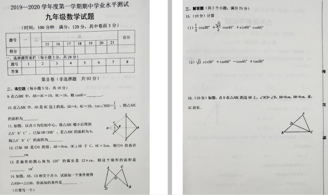 ɽ|ʝɾҰŌ(sh)(yn)W(xu)У2019-2020(sh)W(xu)пԇDƬ棩