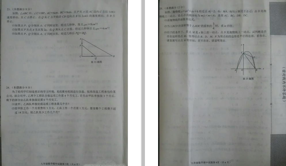 SIh2019-2020WДWDƬ棩