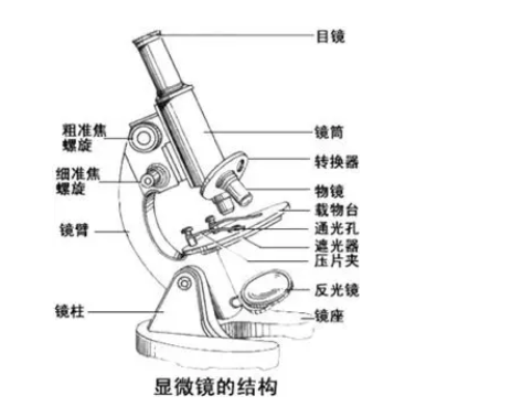 遮光器的作用图片