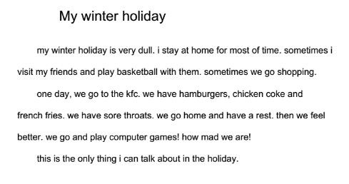 my last winter holiday essay